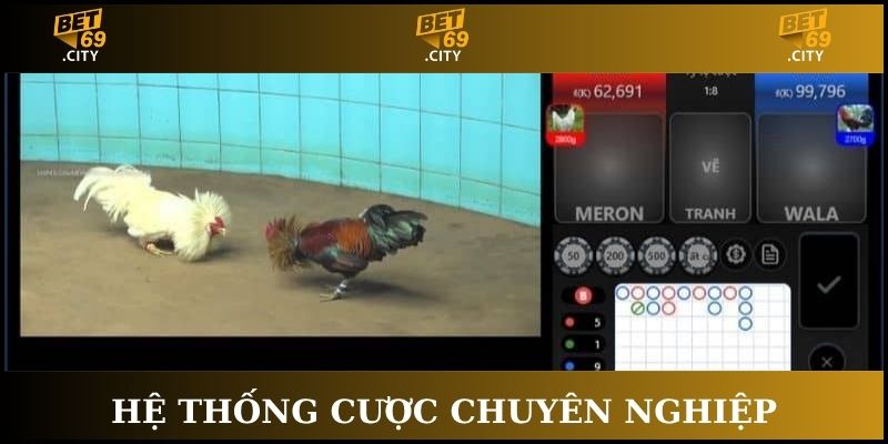 Tham gia cược dễ dàng với không gian chơi chuyên nghiệp